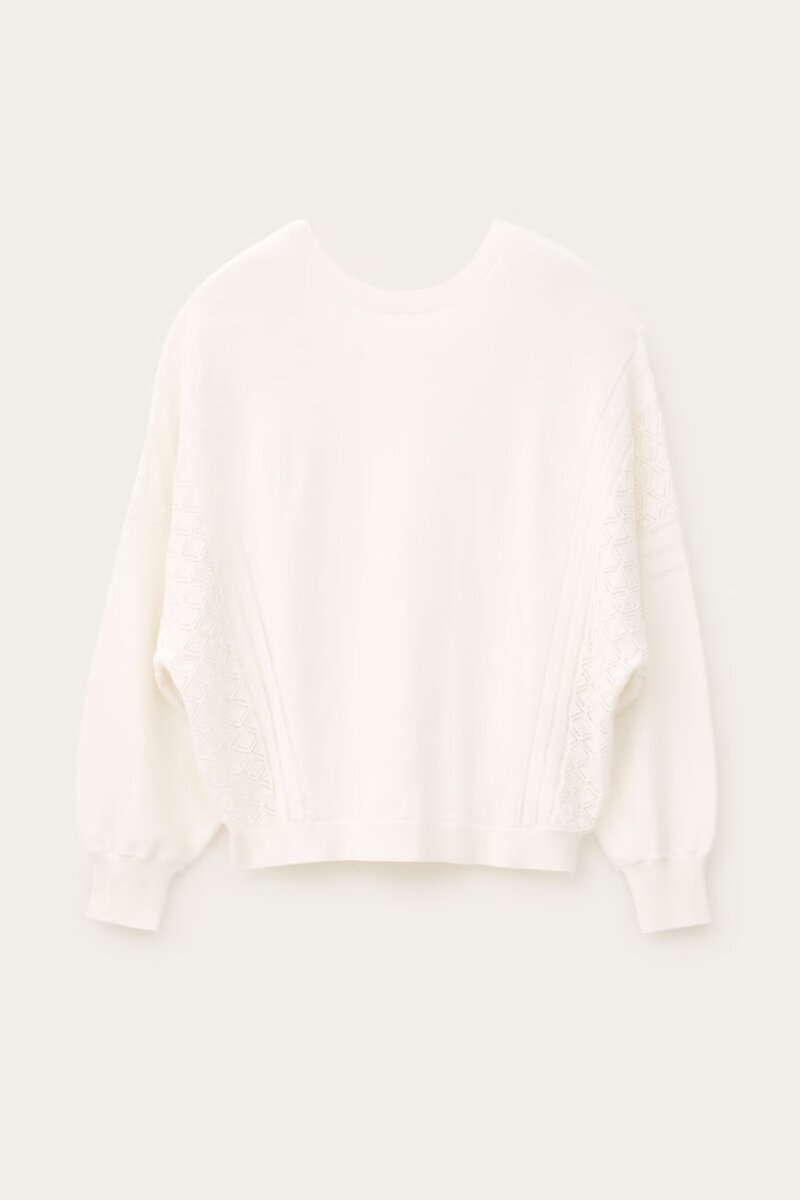 JASSIDA JUMPER – תמונה 7