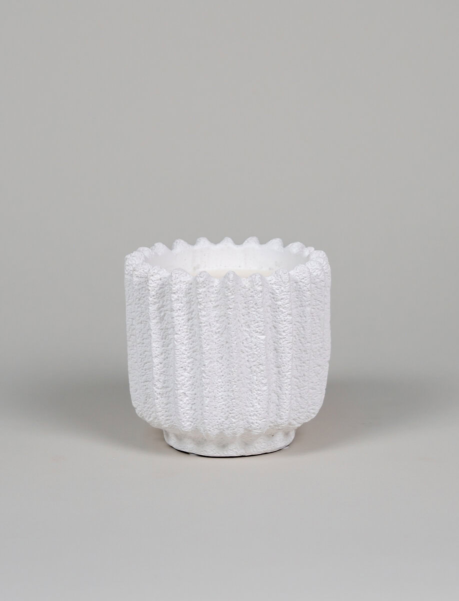 TALIASOL X FACTORY CANDLE | PHAROS SMALL