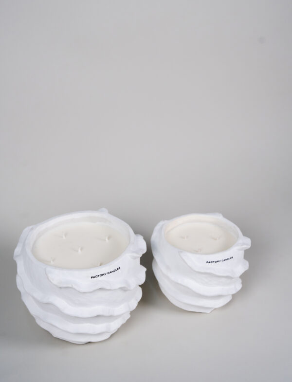 TALIASOL X FACTORY CANDLES | RUFFLE – תמונה 7